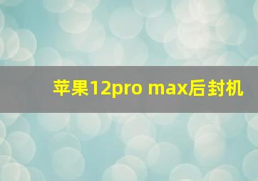 苹果12pro max后封机